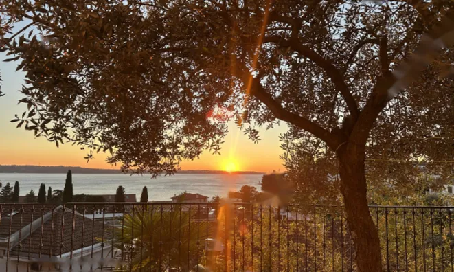 Недвижимость Дом в Портороже: 4