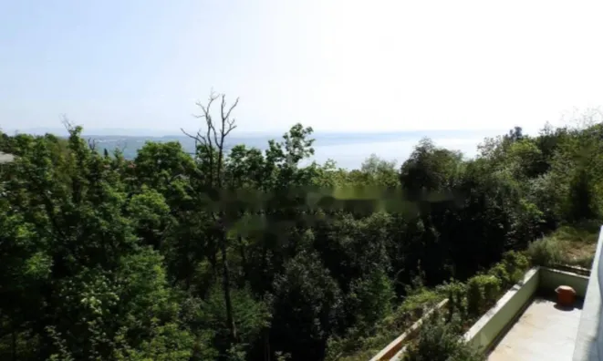 Недвижимость Трёхкомнатная квартира в центре: 19