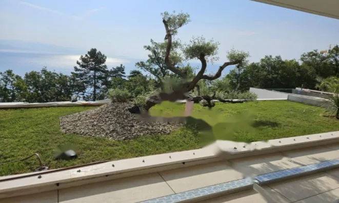 Недвижимость Двухкомнатная квартира в центре: 2