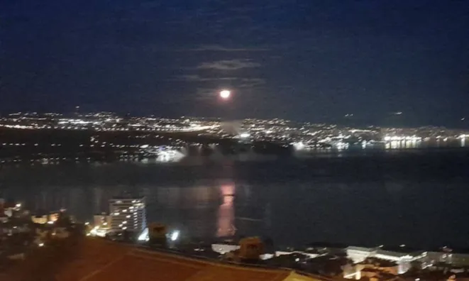 Недвижимость Трёхкомнатная квартира в центре: 13