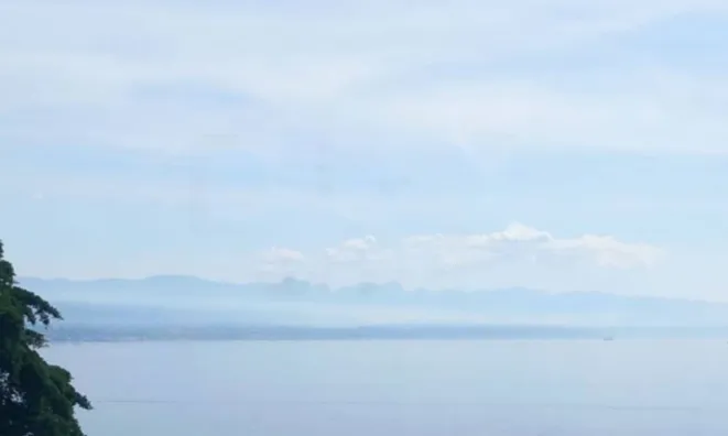 Недвижимость Четырёхкомнатная квартира в центре Опатии: 15