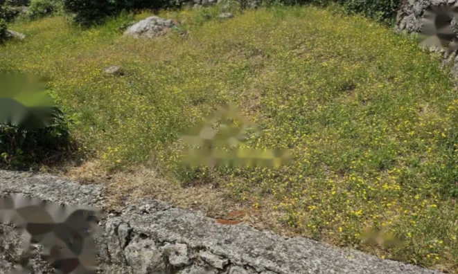 Недвижимость Четырехкомнатная квартира в Центре: 19