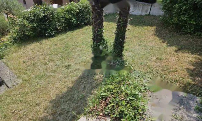 Недвижимость Четырехкомнатная квартира в Центре: 23