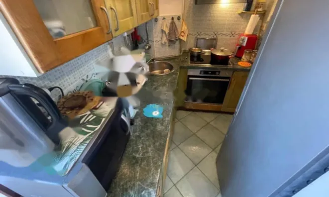 Недвижимость Трехкомнатная квартира в Опатии: 5