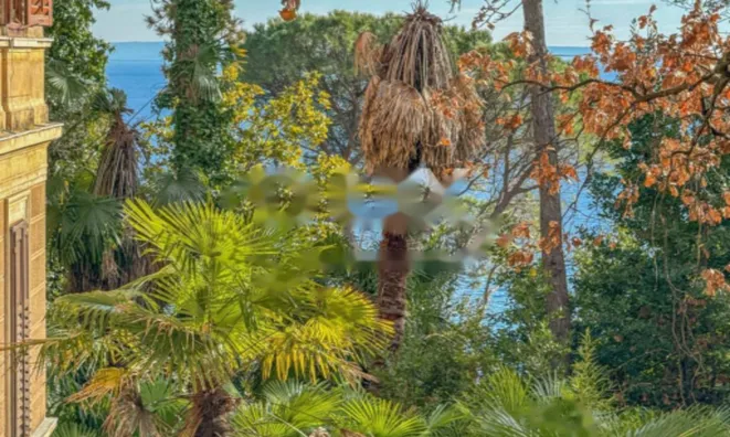 Недвижимость Квартира в центре Опатии: 24