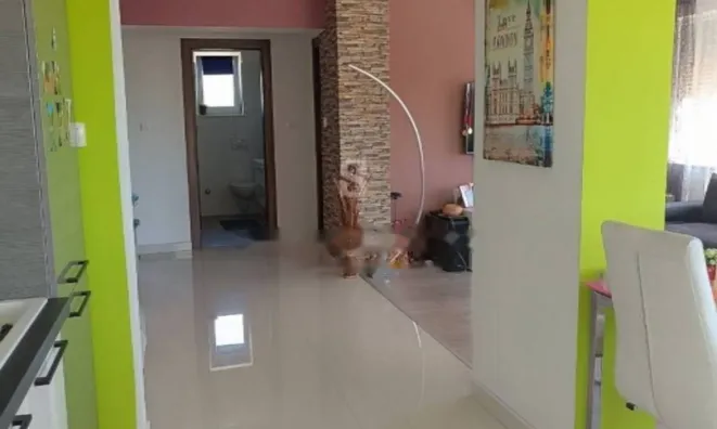 Недвижимость Четырехкомнатная квартира в Центре: 6