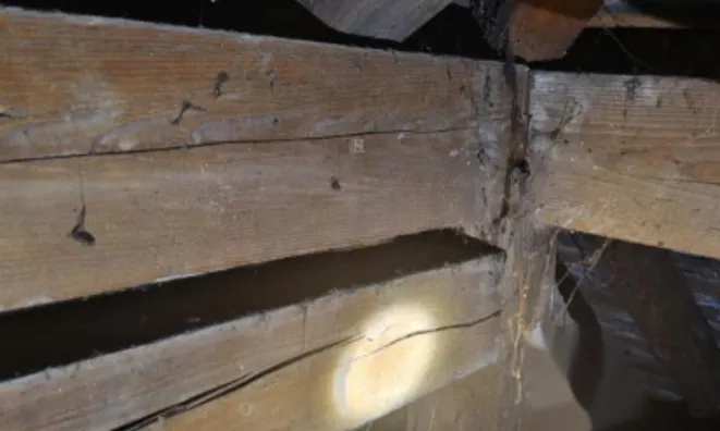 Недвижимость Дом, Шентвид: 2