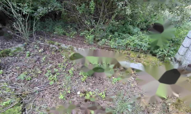 Недвижимость Дом в Ракова Ельша: 6