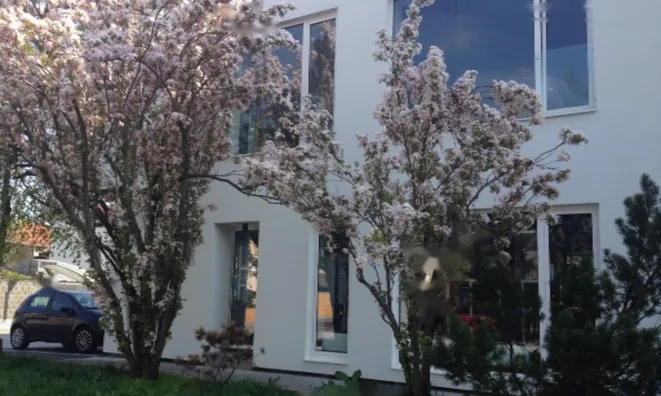 Недвижимость Офисное помещение с террасой: 1