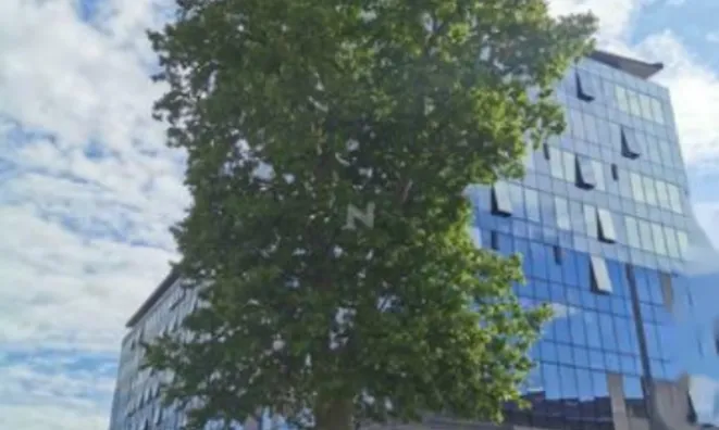 Недвижимость Офисное помещение с ресепшеном: 4