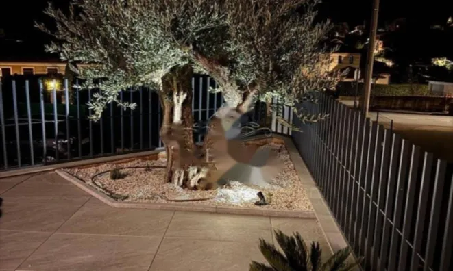 Недвижимость Четырёхкомнатная квартира в Опатии: 24