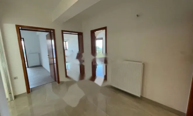 Недвижимость Трехкомнатная квартира в центре: 15