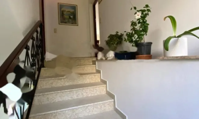 Недвижимость Трёхкомнатная квартира, центр: 12