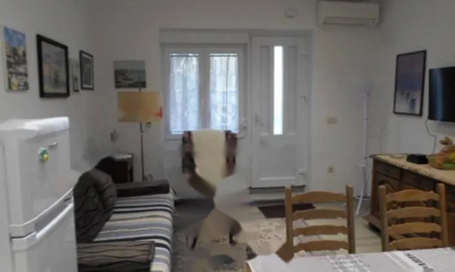 Недвижимость Трехкомнатная квартира, центр: 10