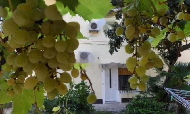 Недвижимость Трехкомнатная квартира, центр: 23