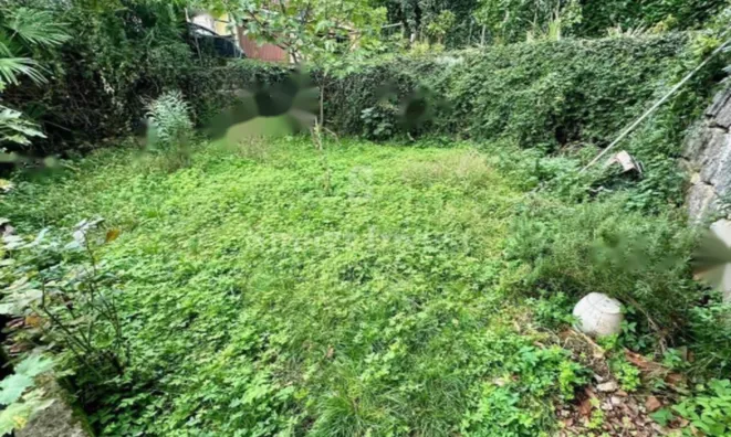 Недвижимость Трехкомнатная квартира, центр: 25