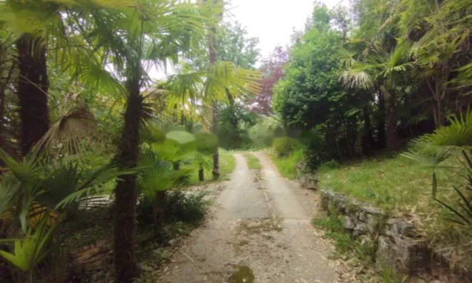 Недвижимость Квартира в центре Опатии: 23