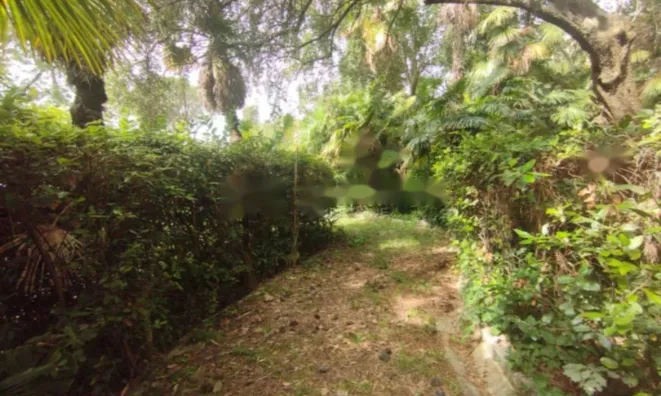 Недвижимость Квартира в центре Опатии: 24