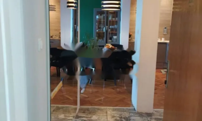 Недвижимость Трехкомнатная квартира в центре: 9