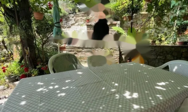 Недвижимость Двухкомнатная квартира Центр: 2