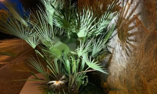 Недвижимость Семейный дом 641 м², Центр: 6