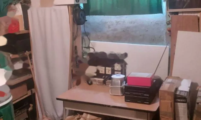 Недвижимость Трёхкомнатная квартира, Центр: 24