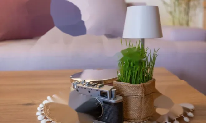 Недвижимость Трехкомнатная квартира Запад: 13