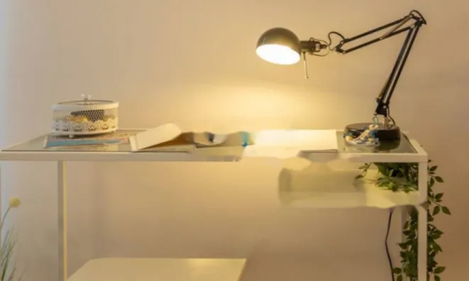 Недвижимость Трехкомнатная квартира Запад: 40