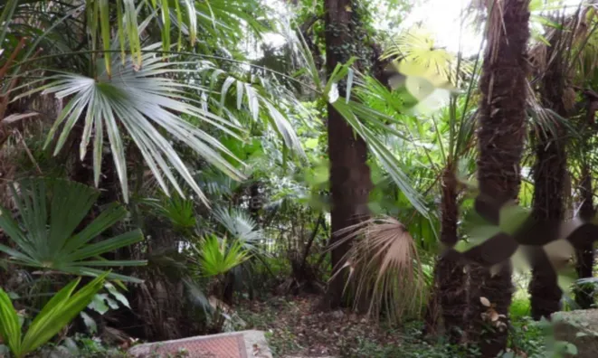 Недвижимость Четырехкомнатная квартира, Центр, Опатия: 18