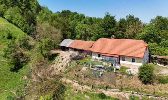 Недвижимость Имение, ферма Верхний Лесковец, Велика Варница: 5