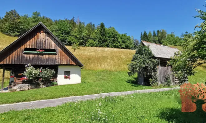 Недвижимость Усадьба Копривник в Бохине, солнечная сторона Альп: 4