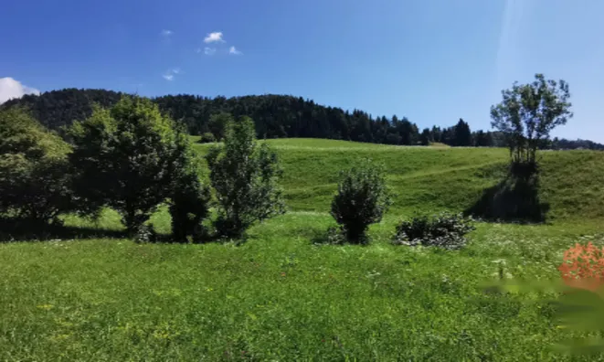 Недвижимость Усадьба Копривник в Бохине, солнечная сторона Альп: 8
