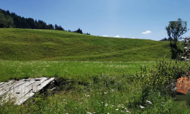 Недвижимость Усадьба Копривник в Бохине, солнечная сторона Альп: 13