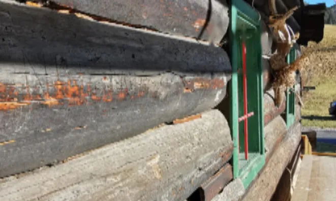 Недвижимость Усадьба Копривник в Бохине, солнечная сторона Альп: 19