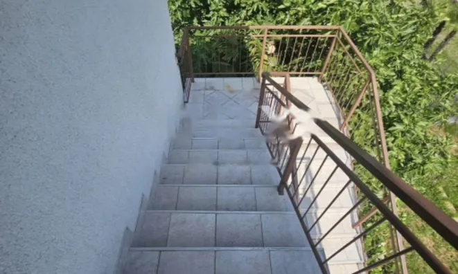 Недвижимость Двухкомнатная квартира в центре: 21