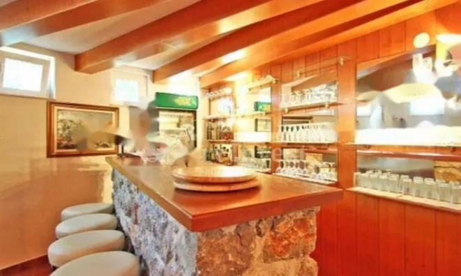 Недвижимость Семейный дом 460 кв.м, Центр: 20