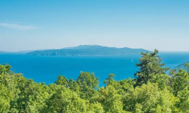 Недвижимость Семейный дом 183 м², Центр: 7