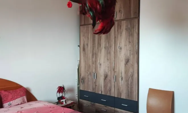 Недвижимость Двухкомнатная квартира Брдо: 18