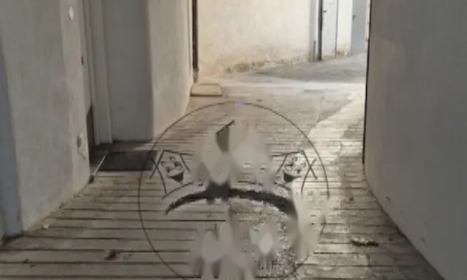 Недвижимость Офисное помещение в Центре: 4