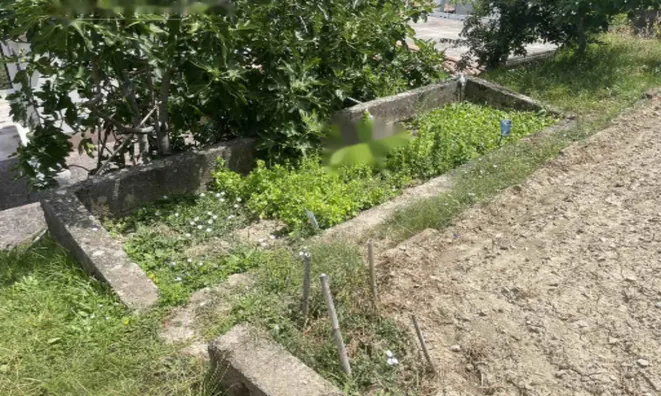 Недвижимость Дом в Семеделе Копер: 28