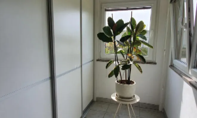 Недвижимость Двухэтажный дом Драгонья: 12