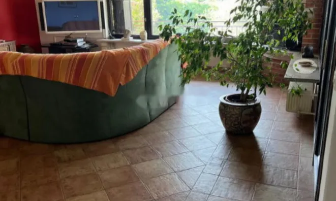 Недвижимость Дом, Порторож: 15