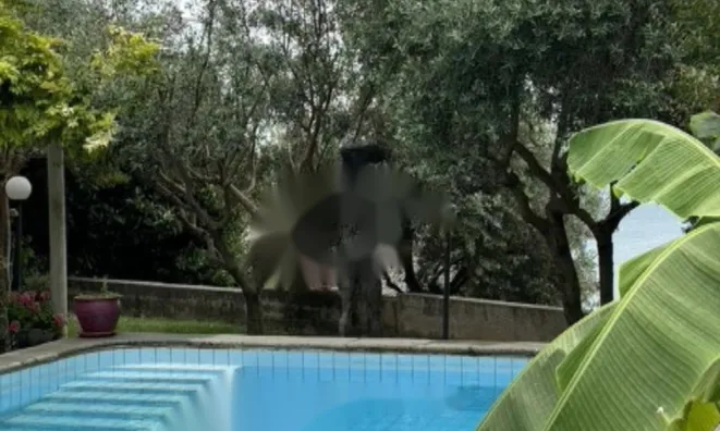 Недвижимость Дом, Порторож: 16