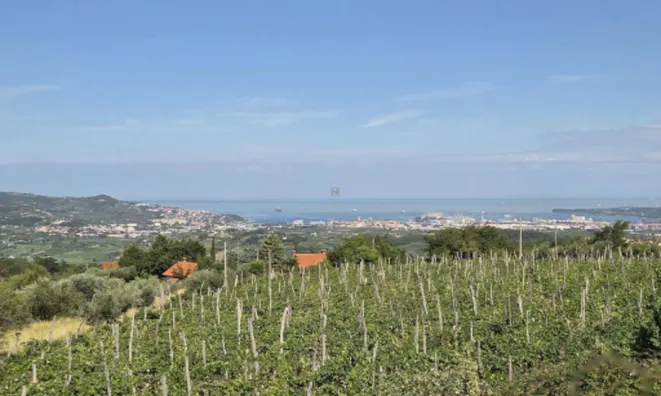 Недвижимость Дом, Мареджиğe: 2