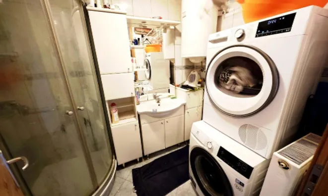 Недвижимость Трёхкомнатная квартира Дравле: 11