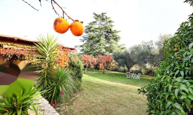 Недвижимость Дом в Портороже: 1