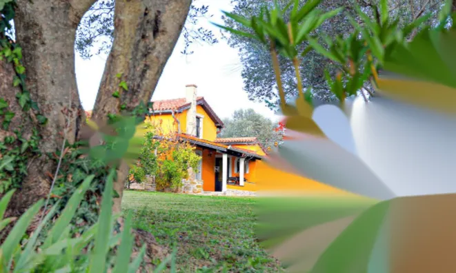 Недвижимость Дом в Портороже: 4