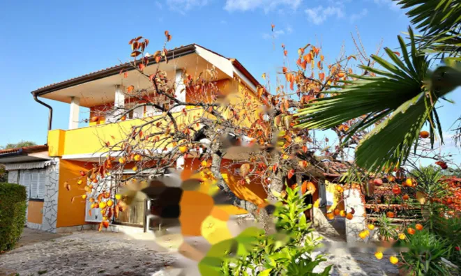 Недвижимость Дом в Портороже: 6