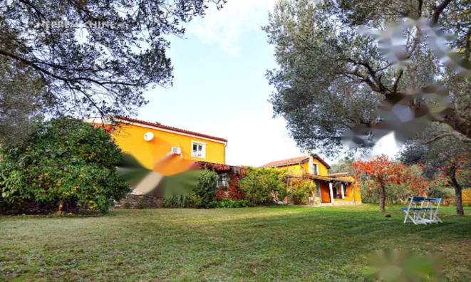 Недвижимость Дом в Портороже: 8