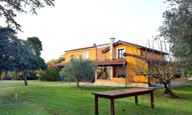 Недвижимость Дом в Портороже: 10